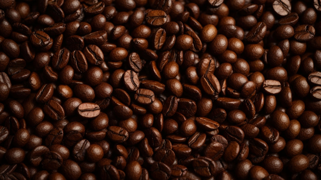 The Ultimate Guide to Storing Coffee Beans for Maximum Freshness
