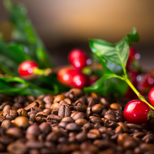 Decoding Coffee Labels: Understanding the Language