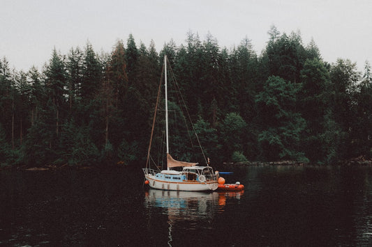 Wake Up and Smell the Coffee: Unleashing Your Inner Caffeine Addict