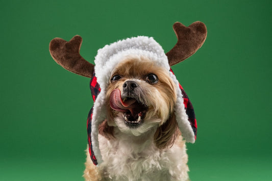 Embrace the Dark: Unleashing Your Inner Coffee Connoisseur